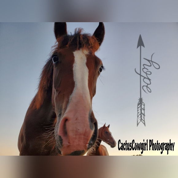 Meet your Posher's The Indiana Hillbilly's - Picture 13 of 16